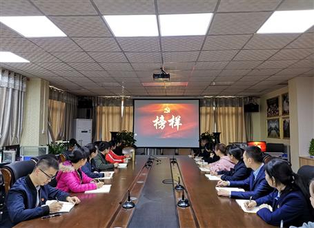 向榜樣看齊，做合格黨員