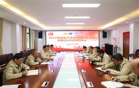 廖立波、唐峰、何勇以普通黨員身份參加所在黨支部2022年度組織生活會